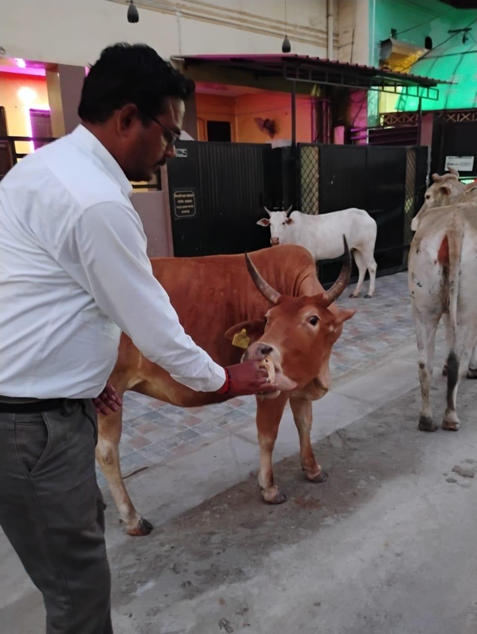 Animal Welfare