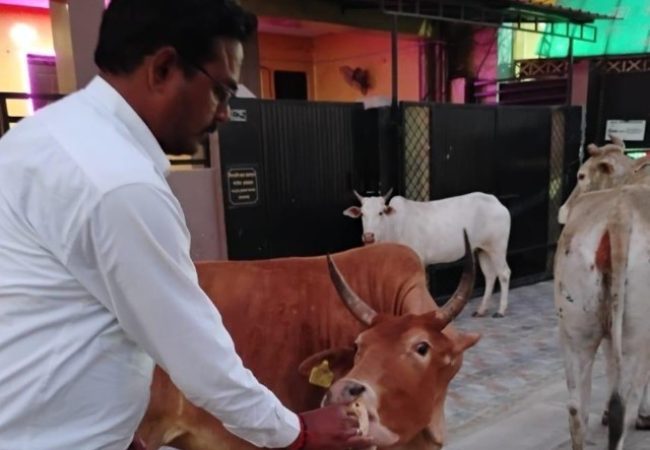 Screenshot 2025-10-07 090040-compressed